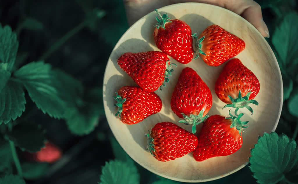 草莓的华丽变身--自制草莓酱